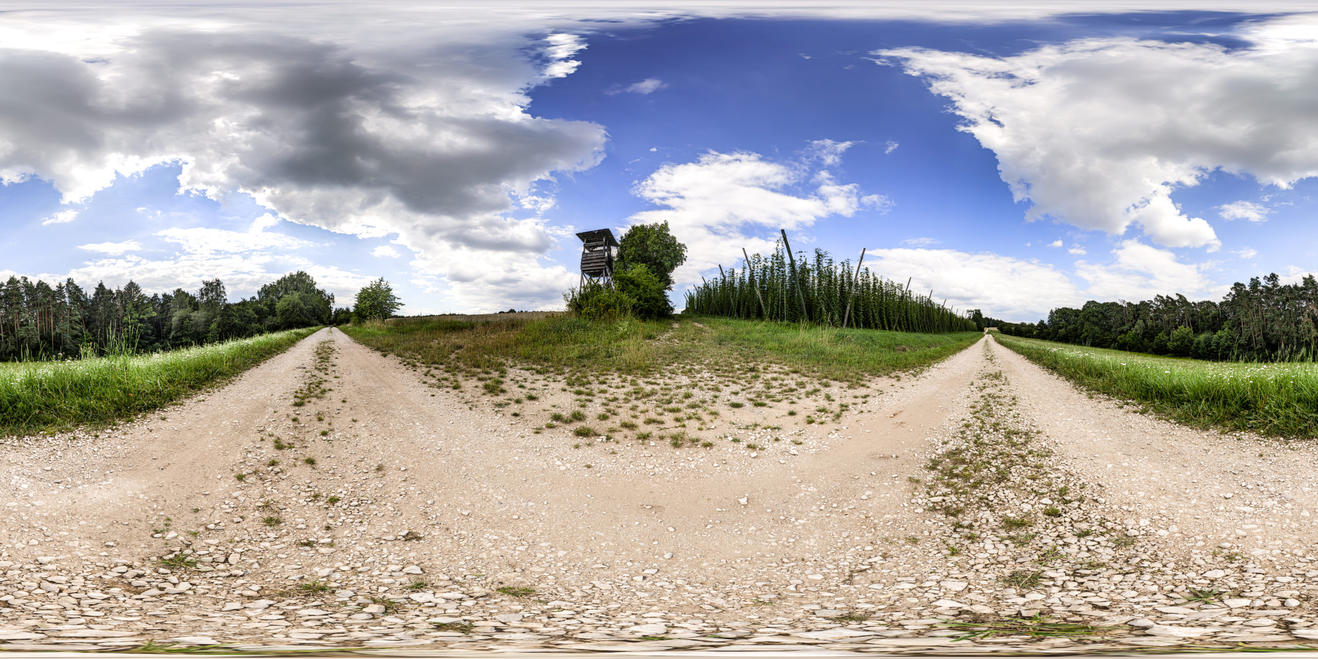 HDRI-Skies-Field-Enderndorf