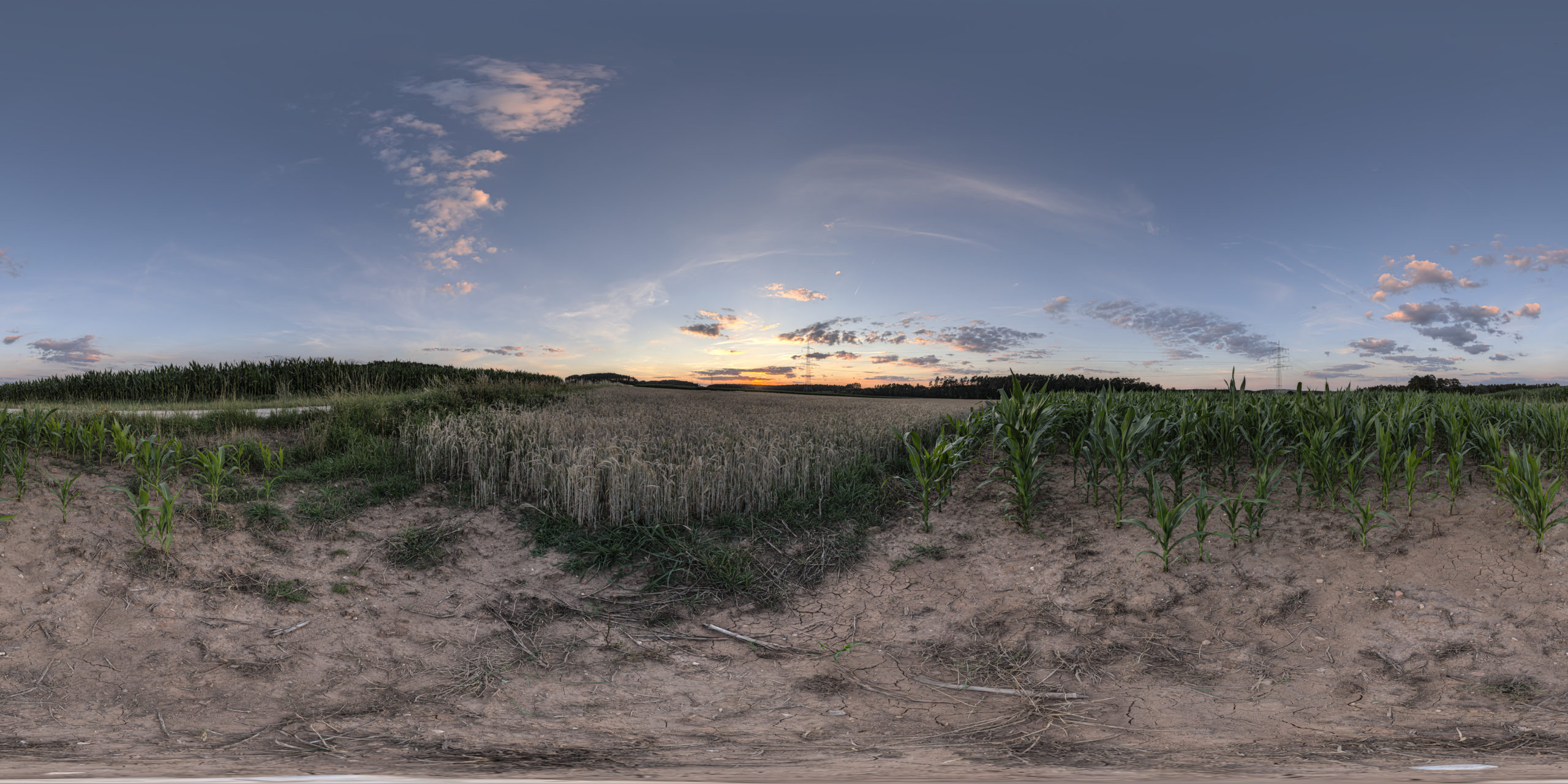 HDRI-Skies-Sunset-Cornfield-Georgensgmünd