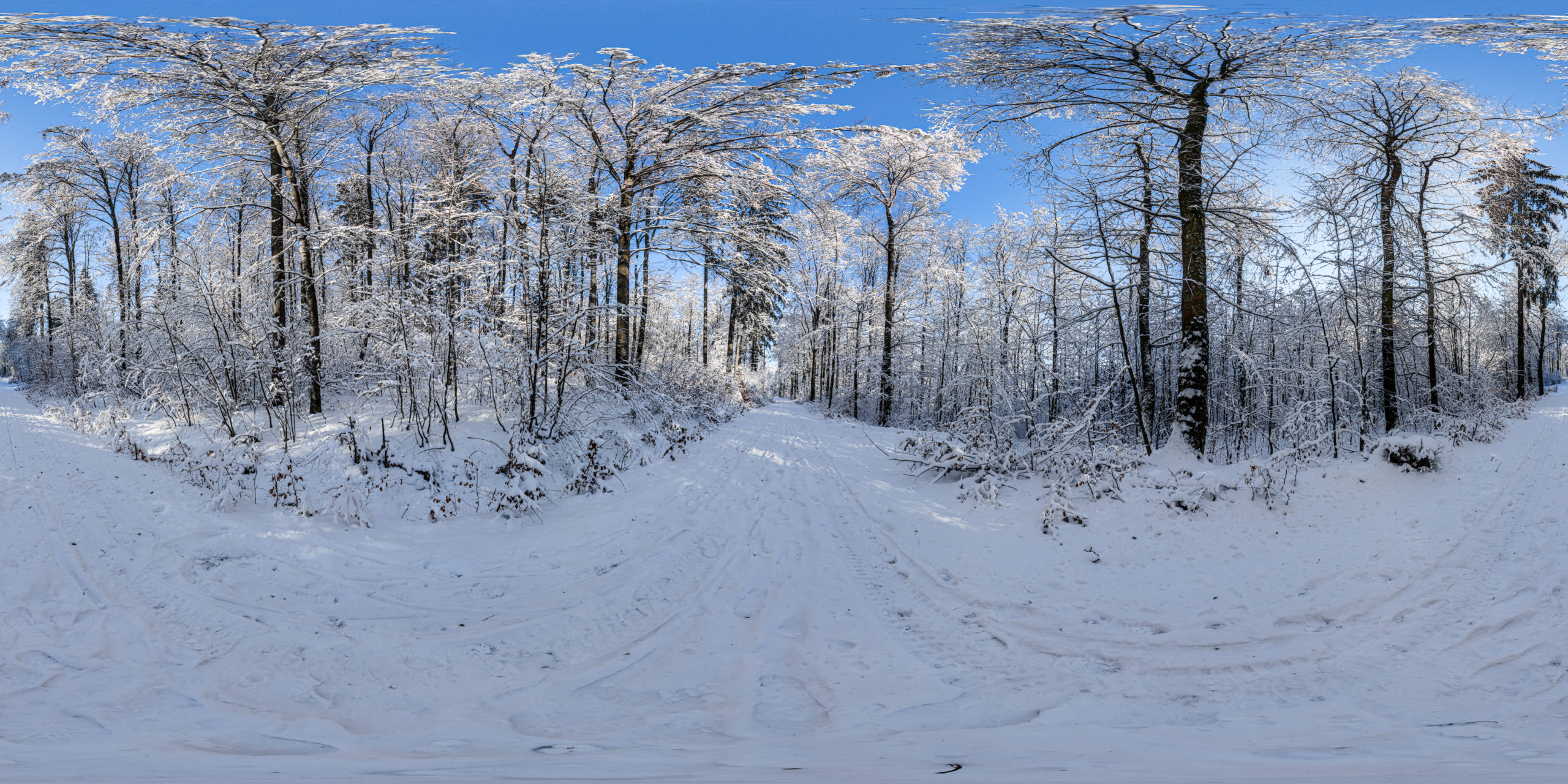 HDRI-Skies-Snowy-Forest-Uhlberg