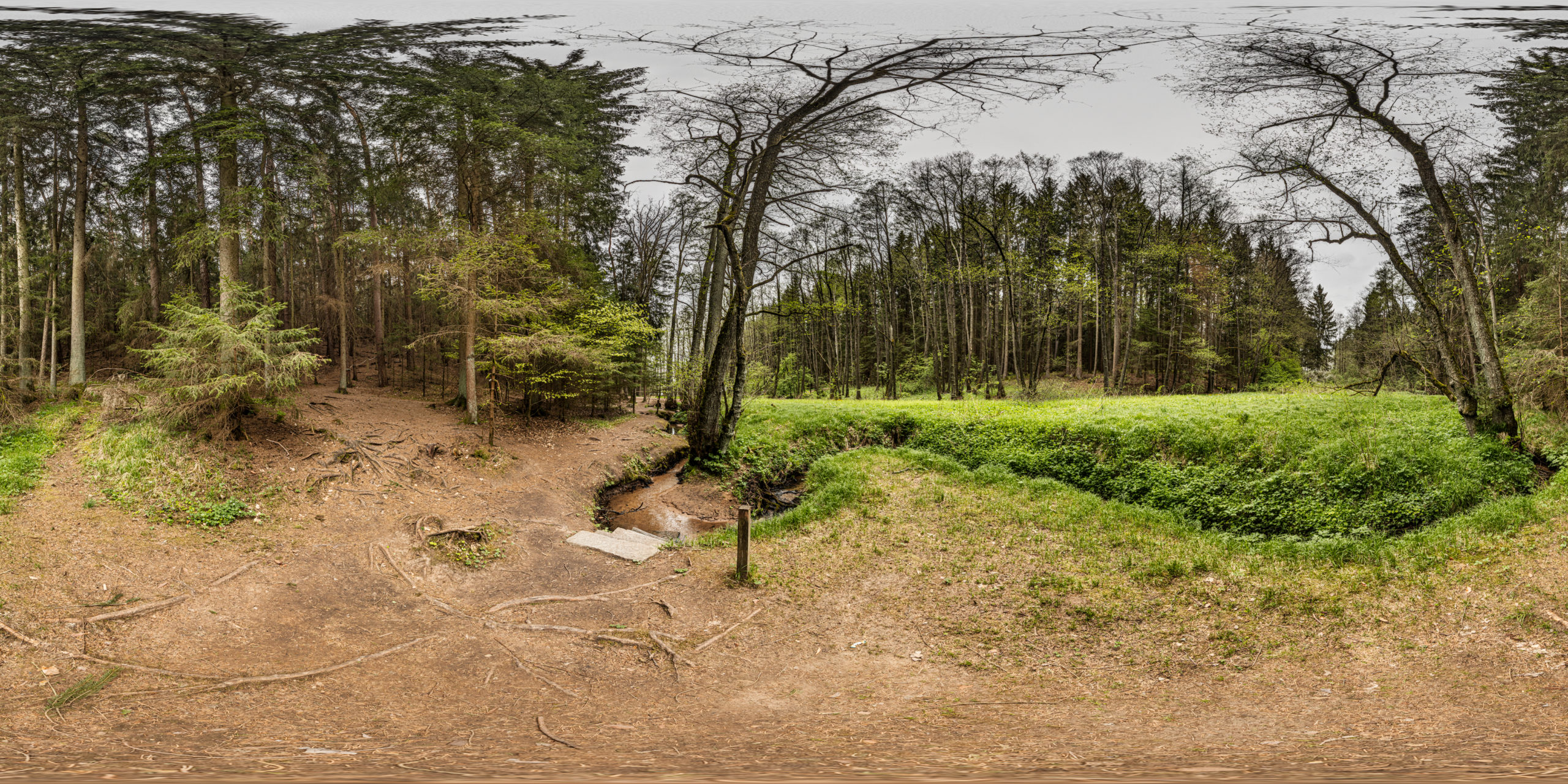 HDRI-Skies-Barefoot-Trail-Brook-Brombachsee