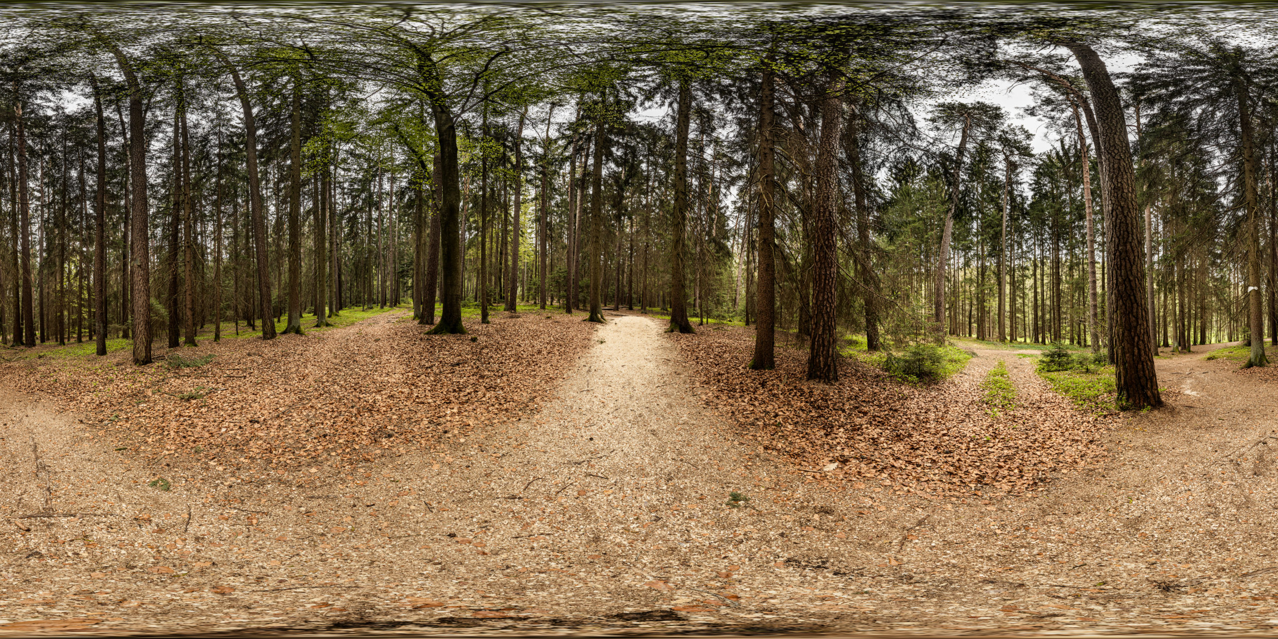 HDRI-Skies-Barefoot-Trail-Crossing-Brombachsee