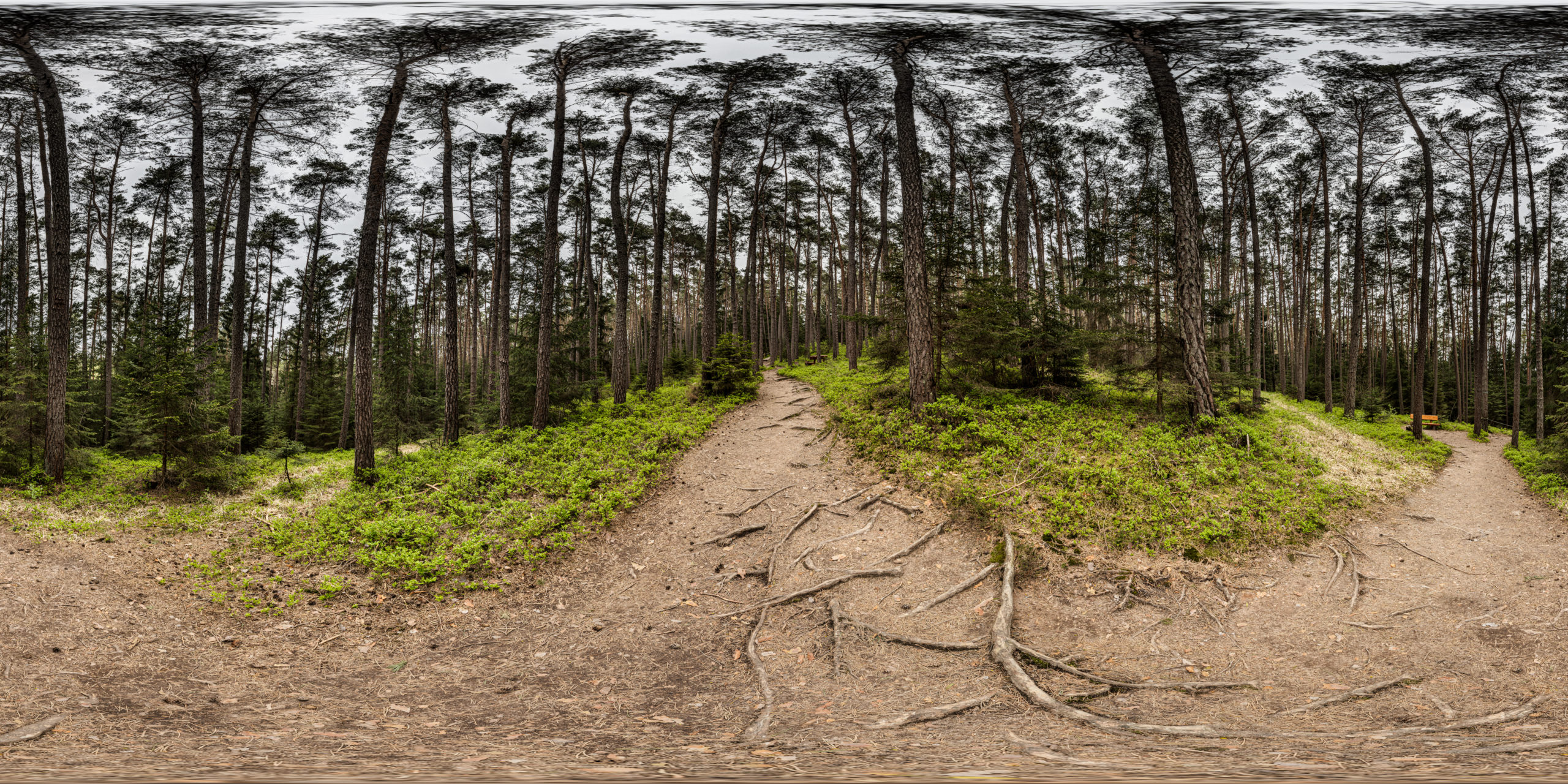 HDRI-Skies-Barefoot-Trail-Path-Brombachsee